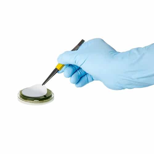 ReadyPlate 55 TGE Agar