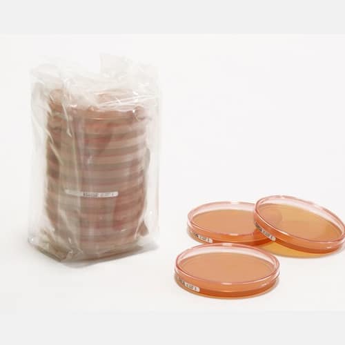 SDA c/ LTHTh - ICR 30ml