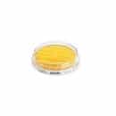ReadyPlate CT VRBG Agar ISO21528