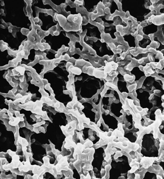 Membranas Filtrantes MF-Millipore