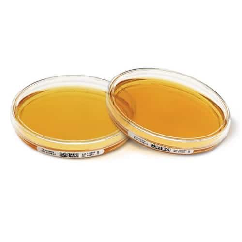 A. tript. de soja - ICR 30ml