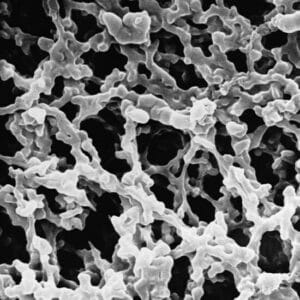 Membrana filtrante HAWP02500 - 0.45 µm 25 mm