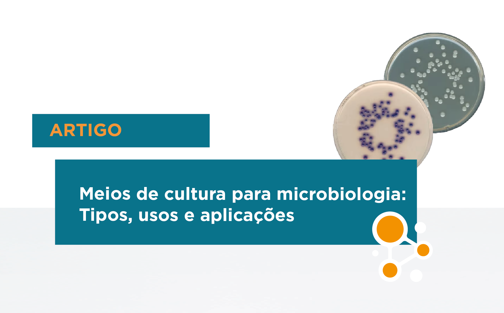 Meios de cultura para microbiologia: Tipos, usos e aplicações