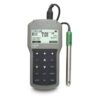 Medidor Portátil Profissional à Prova d’Água para pH/ORP HI98190 Hanna